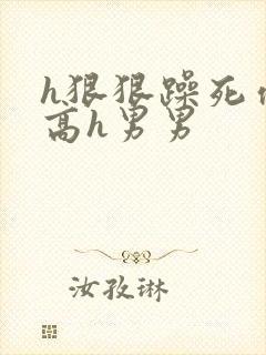 h狠狠躁死你h高h男男封面