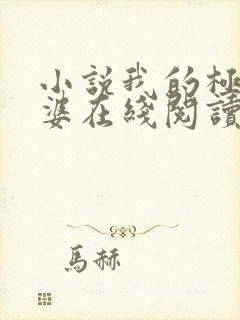 小说我的极品老婆在线阅读全文