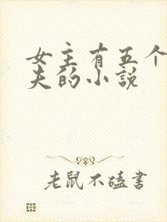 女主有五个未婚夫的小说封面