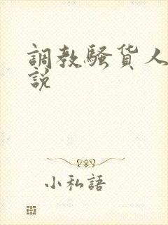 调教骚货人妻小说封面