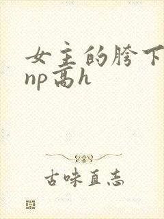 女主的胯下男奴np高h封面