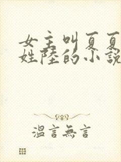 女主叫夏夏男主姓陆的小说