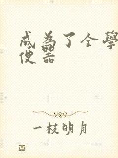 成为了全学校坐便器