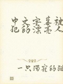 中文字幕被公侵犯的漂亮人妻