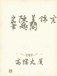 良陈美锦完整版笔趣阁