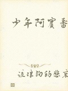 少年阿宾番外篇