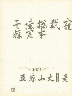 千亿总裁宠妻上瘾完本