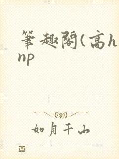 笔趣阁(高h)np