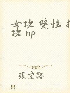 女攻 双性 总攻 np