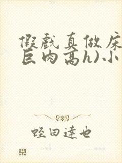 假戏真做床戏(巨肉高h)小说