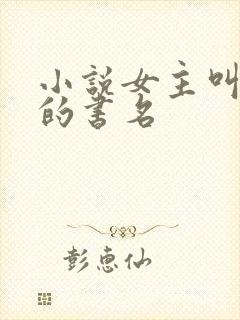 小说女主叫沈念的书名