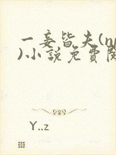 一妾皆夫(np)小说免费阅读