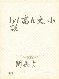1v1高h文小说