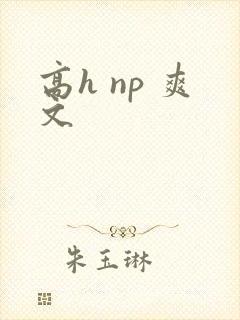 高h np 爽文