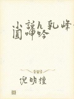 小说h 乳峰浑圆呻吟