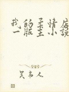 我的柔情店长第一版主小说网