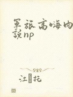 军旅高嗨肉辣小说np