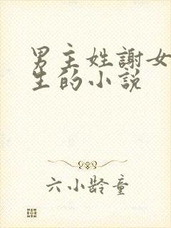 男主姓谢女主重生的小说