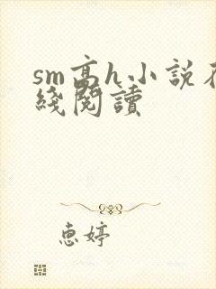 sm高h小说在线阅读封面