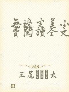 无边完美小说免费阅读全文最新章节封面