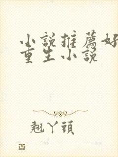 小说推荐好看的重生小说