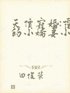 天价宠婚:霍少的小娇妻小说免费阅读