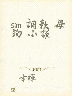 sm 调教 母狗 小说封面