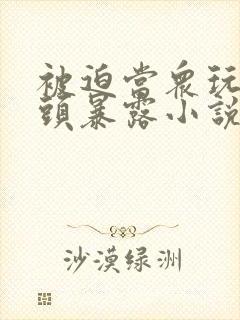 被迫当众玩弄奶头暴露小说