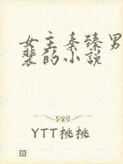 女主秦臻男主姓裴的小说封面