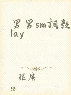 男男sm调教play