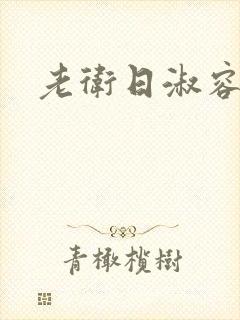 老卫日淑容封面