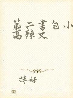 第二书包小说网高辣文