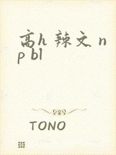 高h 辣文 np bl
