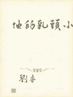 他的乳头小说