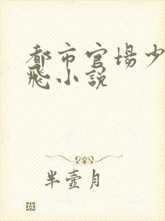 都市官场少妇双飞小说