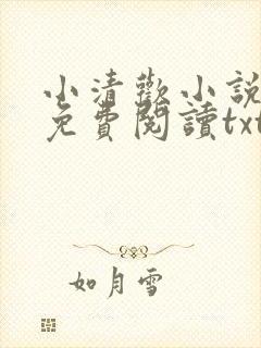 小清欢小说全文免费阅读txt