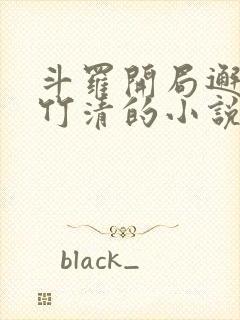 斗罗开局邂逅朱竹清的小说