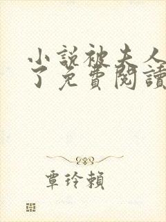 小说被夫人骗心了免费阅读