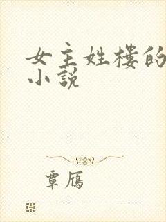 女主姓楼的穿越小说