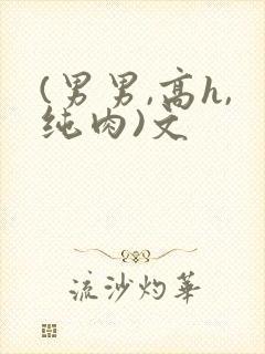 (男男,高h,纯肉)文