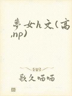 梦女h文(高h,np)封面