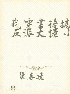 我穿书后搞到了反派大佬 小说