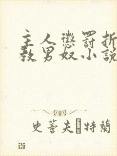 主人惩罚折磨调教男奴小说