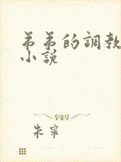 弟弟的调教日常小说