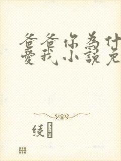 爸爸你为什么不爱我小说免费阅读