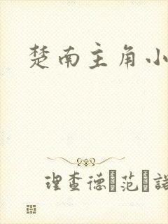 楚南主角小说