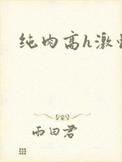 纯肉高h激情文