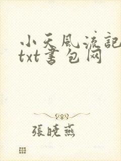 小天风流记小说txt书包网