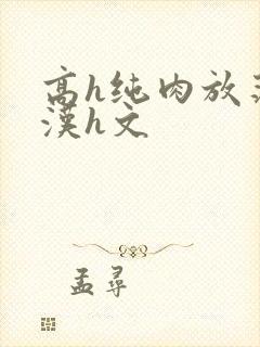 高h纯肉放荡糙汉h文