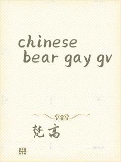 chinese bear gay gv